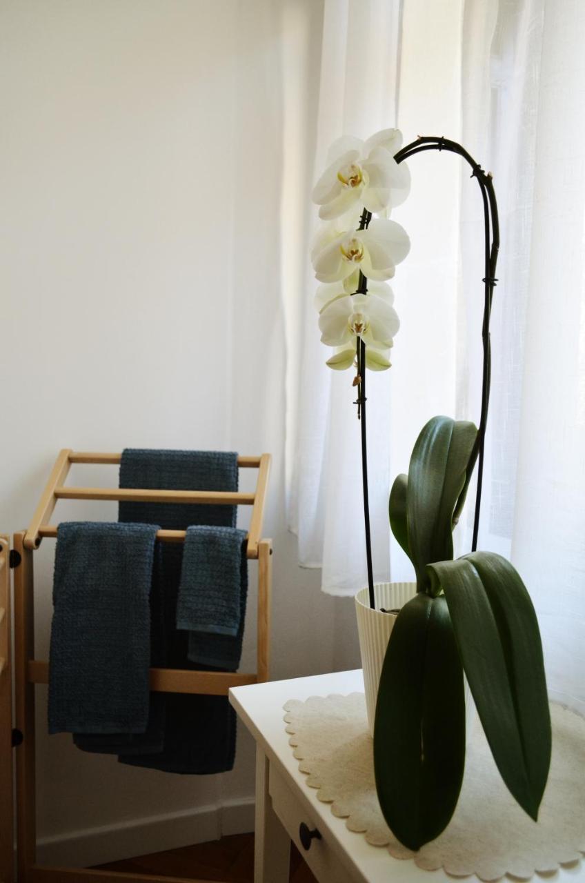 Punto8 Bed & Breakfast Trieste Exterior photo